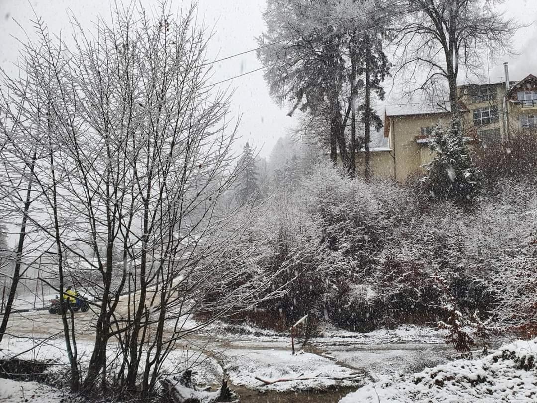 7Soapte Timisu de Jos Exterior foto